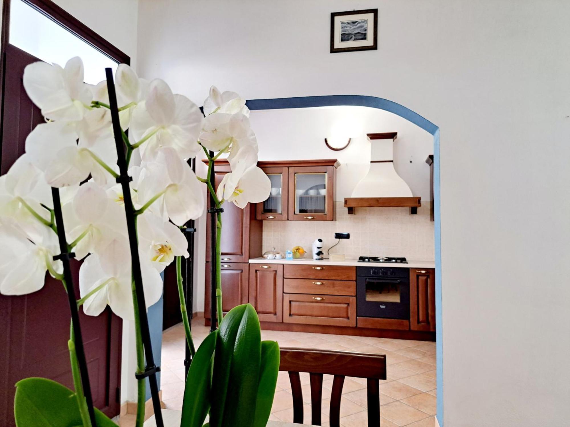 Anninnia Guest House B&B - Ghiiarza Ghilarza Экстерьер фото
